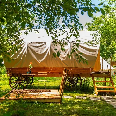 Hotel Dragonfly Gardens - The Wagons à Braşov Extérieur photo