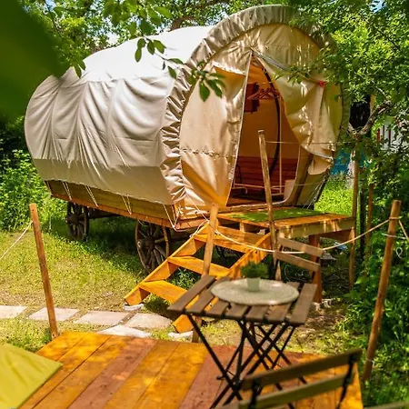 Hotel Dragonfly Gardens - The Wagons à Braşov Extérieur photo
