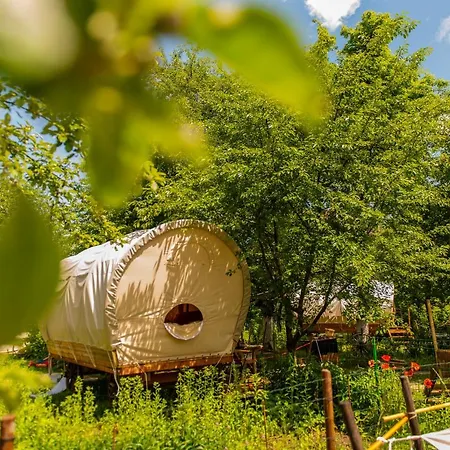Hotel Dragonfly Gardens - The Wagons à Braşov Extérieur photo