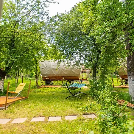 Hotel Dragonfly Gardens - The Wagons à Braşov Extérieur photo