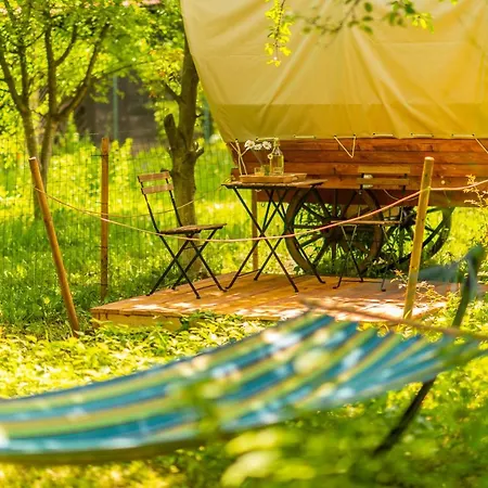 Hotel Dragonfly Gardens - The Wagons à Braşov Extérieur photo