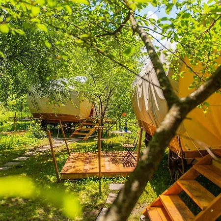 Hotel Dragonfly Gardens - The Wagons à Braşov Extérieur photo