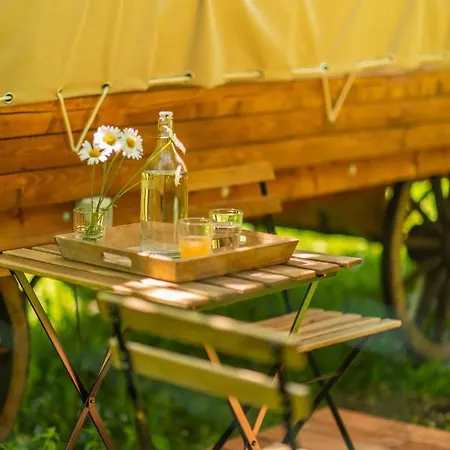 Hotel Dragonfly Gardens - The Wagons à Braşov Extérieur photo