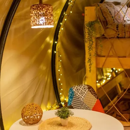 Hotel Dragonfly Gardens - The Wagons à Braşov Extérieur photo