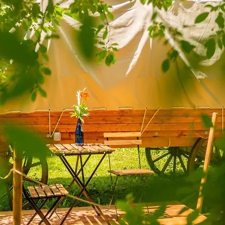 Hotel Dragonfly Gardens - The Wagons à Braşov Extérieur photo
