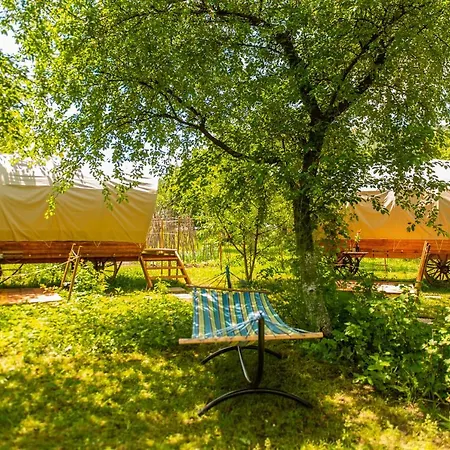 Hotel Dragonfly Gardens - The Wagons à Braşov Extérieur photo