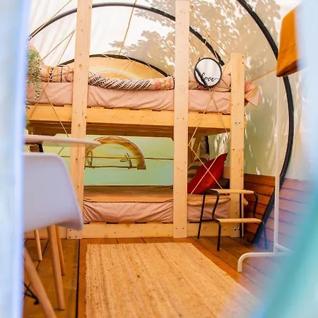 Hotel Dragonfly Gardens - The Wagons à Braşov Extérieur photo