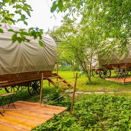 Hotel Dragonfly Gardens - The Wagons à Braşov Extérieur photo