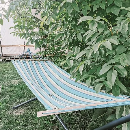 Hotel Dragonfly Gardens - The Wagons à Braşov Extérieur photo