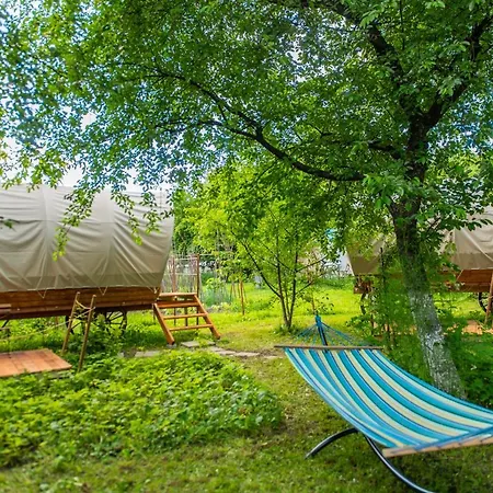 Hotel Dragonfly Gardens - The Wagons à Braşov Extérieur photo