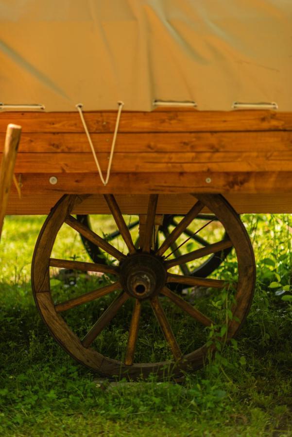 Dragonfly Gardens - The Wagons