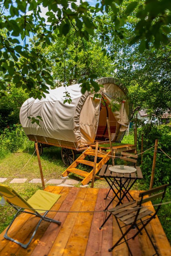 Dragonfly Gardens - The Wagons *