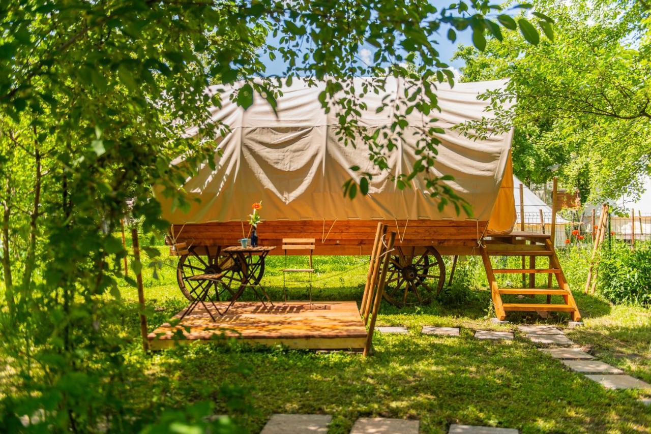 Dragonfly Gardens - The Wagons *