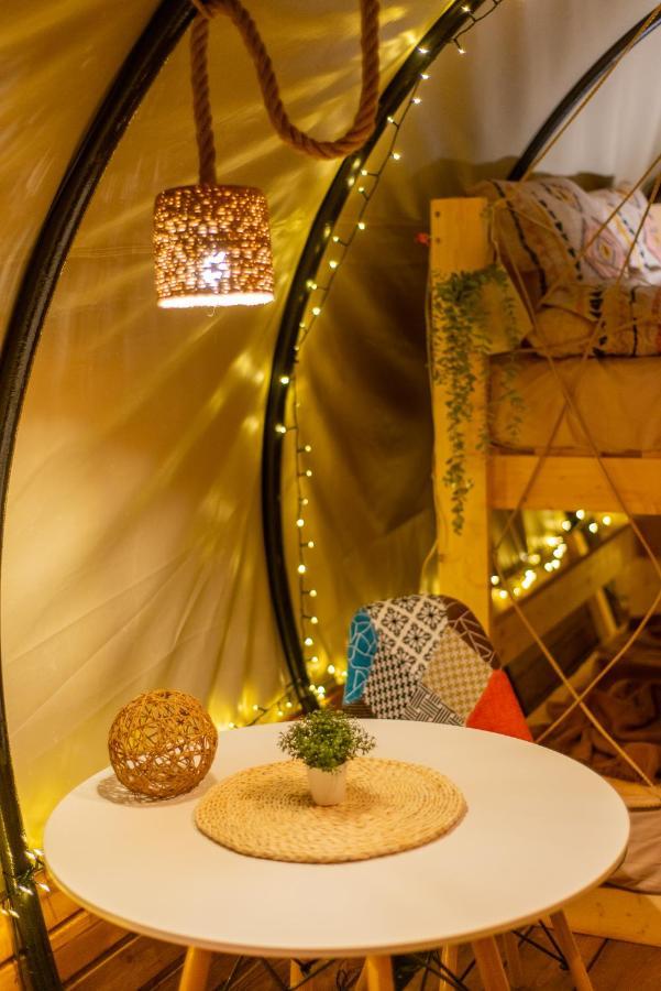 Dragonfly Gardens - The Wagons * בראשוב