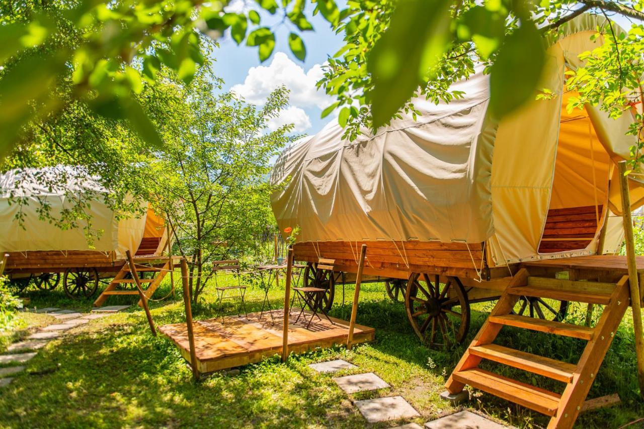 Dragonfly Gardens - The Wagons *