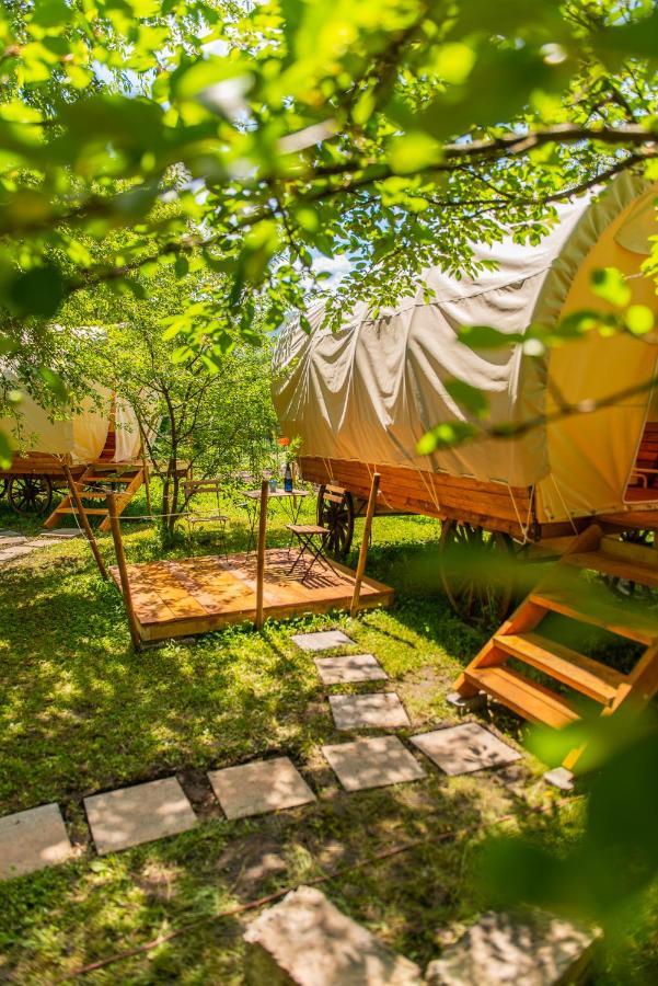 Dragonfly Gardens - The Wagons Luxuszelt *