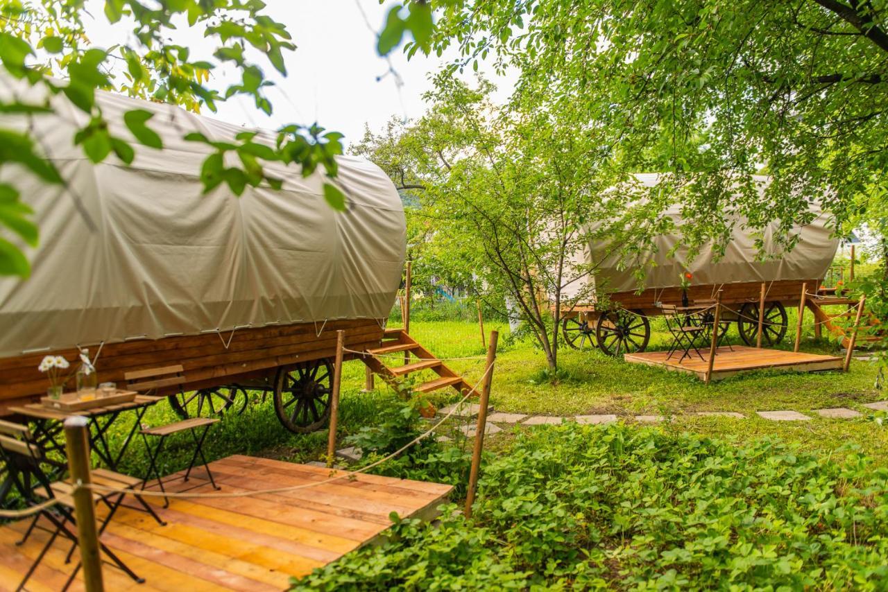 Dragonfly Gardens - The Wagons *
