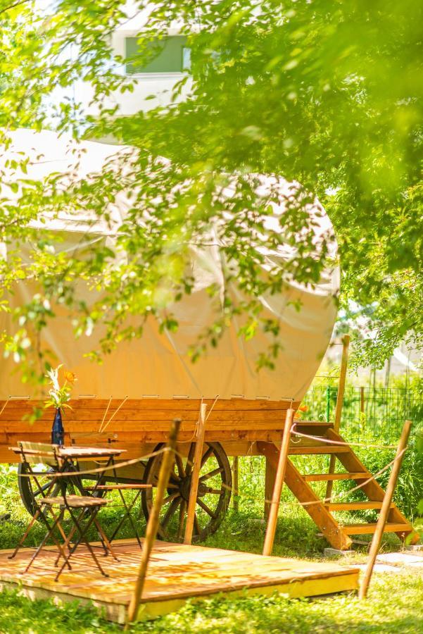 אוהל מפואר Dragonfly Gardens - The Wagons *