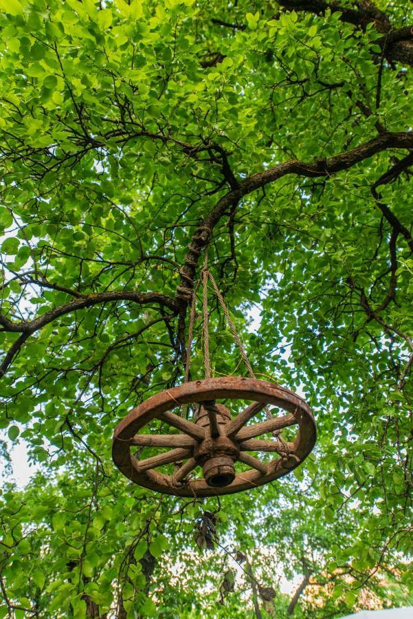 Dragonfly Gardens - The Wagons Luxuszelt Brașov