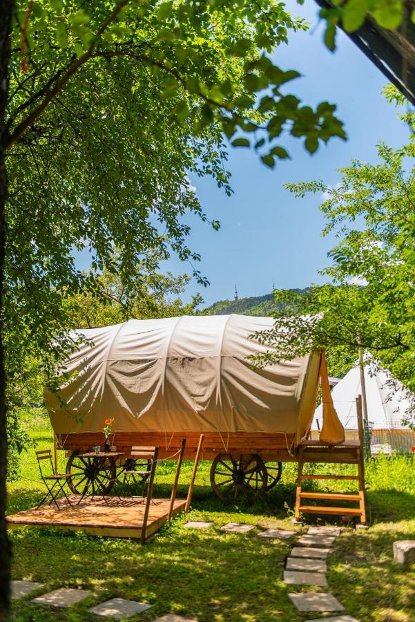 Dragonfly Gardens - The Wagons *