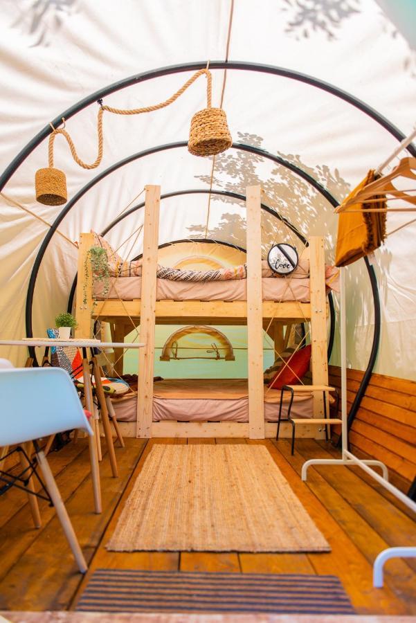 Dragonfly Gardens - The Wagons * Brașov